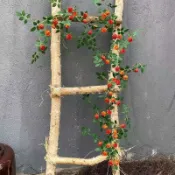 仿真薔薇花藤 塑料假花玫瑰花壁掛藤蔓牆面室內吊頂裝飾遮擋批發Y