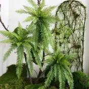 😇仿真手感蕨類😇蕨類植物 波斯草 家居植物 婚慶植物 造景裝飾 植物牆 蕨類配材 綠色植物