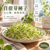苜蓿芽種子500g 苜蓿種子 芽菜種子 苜蓿芽菜 芽菜 水耕芽菜 水耕種子 居家種植 家庭種植 DIY芽菜【四季綠園】
