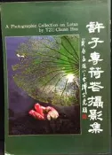 古今書廊《許子專荷花攝影集》