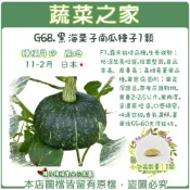 【蔬菜之家】G68.黑海栗子南瓜種子1顆(F1,生長強勢；低溫生長旺盛,產量高；高雌易著果品種,果實扁圓形；果皮