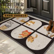 全球選品1館 生活百貨 大門家用進門墊防滑腳踩地墊絲圈地毯入戶小紅書熱銷款門墊玄關腳墊