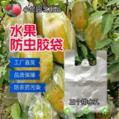 楊桃套果袋水果袋子防蟲番石榴瓜果專用袋芭樂自動扣套袋塑料通用FDSA