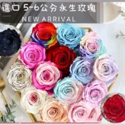 現貨當日出 特殊色 彩虹歐若拉 漸層永生玫瑰花 厄瓜多 碎鑽色系 永生玫瑰 不凋花玫瑰  特殊色永生花 大地農園品質