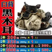 蔘大王 L2102【白背の黑木耳】✔野生▪山木耳║相關產品：桂花 黑豆 陳皮 杜仲葉