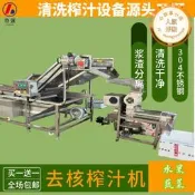 【口碑推薦】大型生薑汁半自動成套設備 魯強牌生薑榨汁機 商用生薑大蒜壓汁機