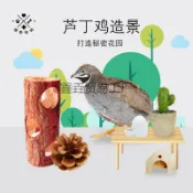 全球選品1館 生活百貨 蘆丁雞發酵床寵物無臭墊料鳥窩鸚鵡窩木窩草窩蘆丁雞造景用壘德株