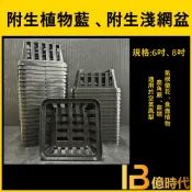億時代園藝+ 6吋 8吋附生植物籃 蕨類盆 附生淺網盆 鹿角蕨盆 蘭花盆 附生植物盆 著生植物盆 鹿角蕨 空氣鳳梨