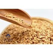 (店+)【澎玉191】澎玉191  黃金亞麻籽
