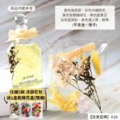 ALL SPLENDID 【A-ONE】浮游花DIY花材包 木繡球花 安娜繡球花 花材 乾燥花材 DIY浮游花 不凋花 永生花 蓬萊松 H26