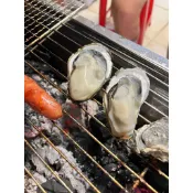 🔥正東石蚵🔥 颱風照常出貨 🔥自產自銷 當日現採 [帶殼鮮蚵/去殼鮮蚵肉]🦪蚵仔 帶殼牡蠣 牡蠣 生蠔 零售 專賣