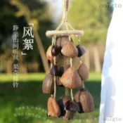 果殼音束 成品手搖鈴 音療樂器 個性果殼鈴 樂器果實 手搖鈴 雲森自野天然植物果殼手搖鈴手作種子果實溪水音療風鈴樂器禮物
