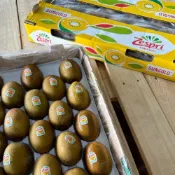 (店+)【水果狼】紐西蘭Zespri 黃金奇異果 25-27顆 / 原裝箱   3.3kg±10% 中秋禮盒 中秋送禮