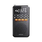 【HANLIN】FMBT1 迷你藍牙FM收音機小霸王(藍牙喇叭 MP3 記憶卡 重低音 USB充電 音響 收音機 迷你 FM)