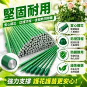 金錢樹支撐桿 盆栽固定支架 園藝花架 陽台花盆支撑架 花卉扶持桿 爬藤架 植物防倒支架 室內盆栽支撐架