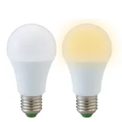 寶島之光 2入組3W超節能LED E27燈泡-白光/黃光(全電壓 CNS合格 無藍光危害 環保光源 省電 不可調光)