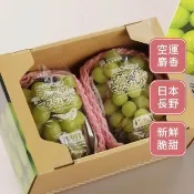 【RealShop】日本長野頂級麝香葡萄淨重350gx2房/禮盒(共700g±10%裝 水果禮盒 送禮)