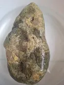 六龜-青龍石-龍紋青石-黃網龍紋青石，可作雕件，茶盤與水族缸擺飾