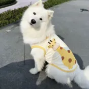 🔥實拍免運🔥 大狗狗衣服 寵物衣服 大碼狗狗衣服 涼感 寵物狗狗服春夏新款夏日萌寵檸檬黃長頸鹿背心大型犬金毛拉布拉多