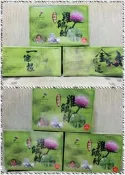 現貨~現貨 都有現貨 台灣三合一國寶茶雞角刺--→單盒/200元 下標區