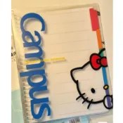 Ohaya 國譽活頁本 hello Kitty 庫洛米 三麗鷗線圈本 26孔b5 橫線本 筆記本 可拆卸 索引分類本 5