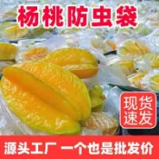 楊桃大號防蟲保護套袋防蟲袋水果保護透明袋促生長農用薄膜套袋