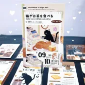 【空白賀卡 ins 風】日系高顏值手繪貓貓可愛創意ins風貓ノ喫茶明信片賀卡送閨蜜牆貼手帳素材 加厚 交換禮物