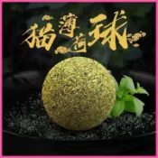 【Happy寵物】台灣現貨 24H 貓草球 貓薄荷 貓咪玩具 貓草 貓玩具 逗貓棒 貓草棒 逗貓 木天蓼 逗貓玩具 貓草