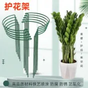 ✨臺灣有貨✨免運✨花支柱金錢樹龜背竹天堂鳥植物架防倒伏固定護花架子支撐架定型 CZL8