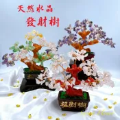 Sweet heart 田芯國際精品 Sweet Heart 田芯開運精選 💯天然五行水晶 粉水晶 紫水晶 招財樹 發財樹 旺財開運 擺件❤️可搭晶洞 聚寶盆 鹽燈