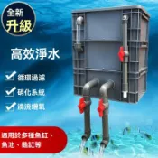 【破損包賠】免運🚛加厚款週轉箱 過濾水培過濾箱 魚池水迴圈係統 魚缸過濾盒 上濾過濾器 水池滴流幹外置小號係統魚缸魚缸