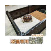 (店+)磁磚 止滑磁磚 陸龜磨指片 30*30CM 陸龜 磨甲板 蘇卡達 紅腿 陸龜食盆