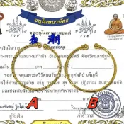 泰國 龍婆本廟 招財鎖財 手環 手鐲 金手環