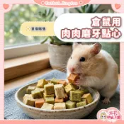 花花萌寵王國🎀 倉鼠用肉肉磨牙點心 倉鼠零食 倉鼠磨牙 單個販售 雞肉 鮭魚 布丁鼠 倉鼠磨牙零食 倉鼠點心 寵物鼠