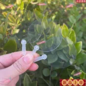 👍台灣優選/免運🚚diy手工繪畵咕卡貼紙迷你透明扇空白mini娃用小朋友小扇子幼兒園