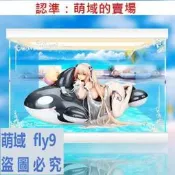 【品質認證】【移不動】APEX-TOYS碧藍航線安克雷奇海、海洋、遊泳課展示盒