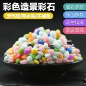 🎉限時特賣丨🔥五彩石 彩色小石子 七彩色石 小石頭 盆栽土面裝飾彩石 多肉鋪面石植物盆栽裝飾 五彩石造景園藝