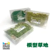 [ HankTown ] 模型草地 草皮 草坪 仿真草地 ｜ COR 場景模型 植物  C 2012