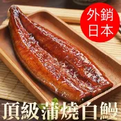 南海豐【頂級蒲燒白鰻】250g/尾 海上先生嚴選日本最愛白鰻/肥美厚身/少刺甜美Q彈/不含醬實重白鰻魚