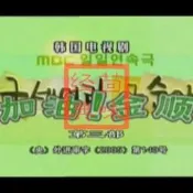 (可開發票/報價單）精品加油金順 央視國語版 全110集 5張DVD碟 光盤 韓劇 韓惠珍 姜