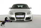 Speedy~競速空力套件 AUDI A3 8P  O 前保桿含水箱罩 含通風網