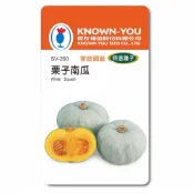 (店+)【天橙種子】栗子南瓜種子 SV-260 約6粒 灰綠色 特選種子 瓜果類 農友種苗 彩色原包裝