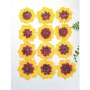 押花花材-鵝掌藤 勳章菊葉 艾草葉 樹茉莉 香菜花 高山野花 水母蜀葵迷迭香 杜鵑花 報春花 多頭海棠花 蛇目菊 小木槿