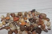 精緣17澎湖文石 文眼石 粒粒都是精品 美石 包含收藏玻璃瓶