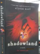 【小熊家族】《Shadowland》ISBN:0312650051│Noel, Alyson│七成新