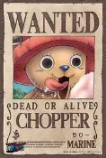 500-129 絕版500片日本正版拼圖 One piece 海賊王 航海王 喬巴懸賞單