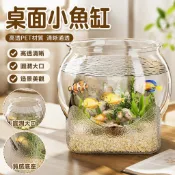 7.7桌面小魚缸養魚水缸神器手提斗魚缸迷你魚缸造景魚缸小型家用大口徑圓形魚缸桌面壹體魚缸微景觀鑰匙收納盒