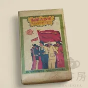 【三十年老茯茶】1990年代金花茯磚｜稀有陳年．溫潤菌香 倉儲好無雜味 1990年代團結民族磚 一公斤磚 茯磚