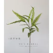 ☁☁俞悦仿真植物 排草 家居裝飾 綠色花藝葉材 蕨類 單枝 室內 攝影道具