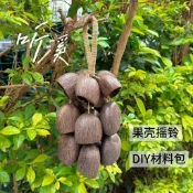手搖鈴 音療樂器 果殼風鈴 冥想 瑜伽 打坐 果殼音束 果殼搖鈴掛鈴溪水音樂手搖鈴鐺風鈴雨聲果實包包掛飾DIY手工禮物